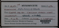 Image Associated With the Occurence
